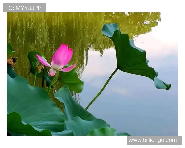 以古诗咏足坛英豪品球星风骨赏诗意人生 以古诗咏足坛英豪品球星风骨赏诗意人生